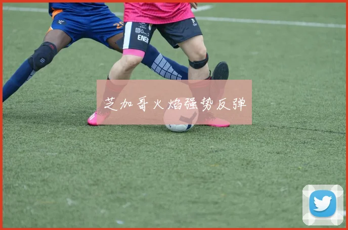 芝加哥火焰强势反弹