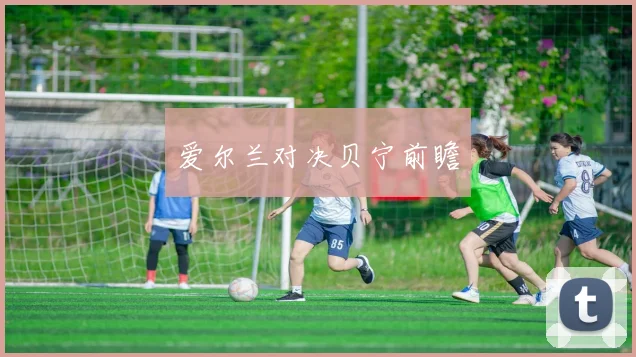 爱尔兰对决贝宁前瞻
