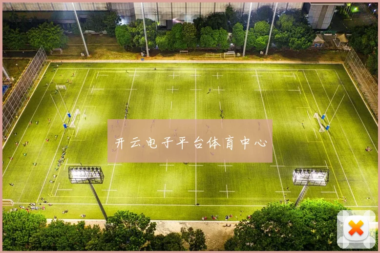开云电子平台体育中心