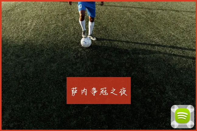 萨内争冠之夜