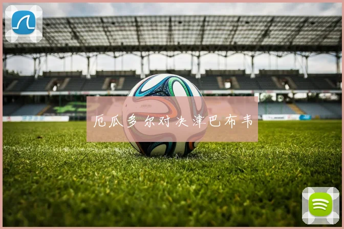 厄瓜多尔对决津巴布韦
