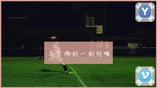 马丁内利一剑封喉
