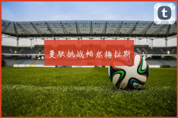 曼联挑战帕尔梅拉斯