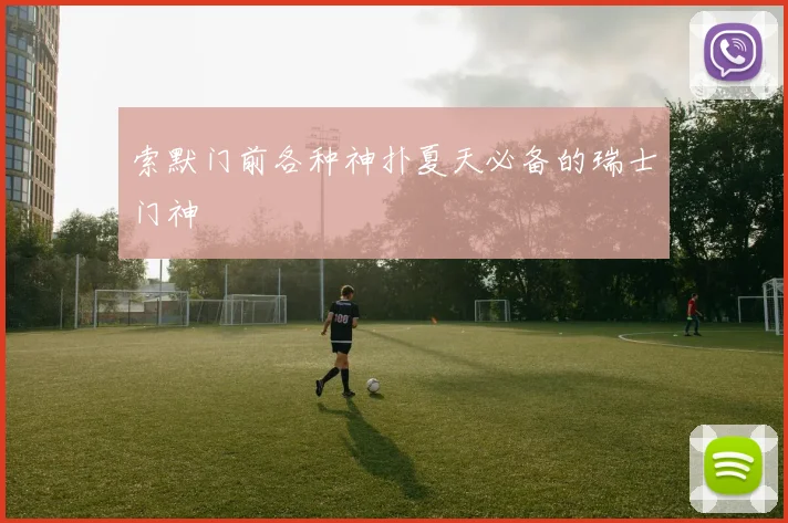 索默门前各种神扑夏天必备的瑞士门神