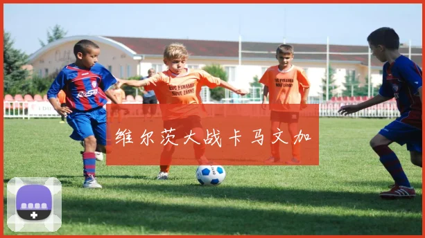 维尔茨大战卡马文加