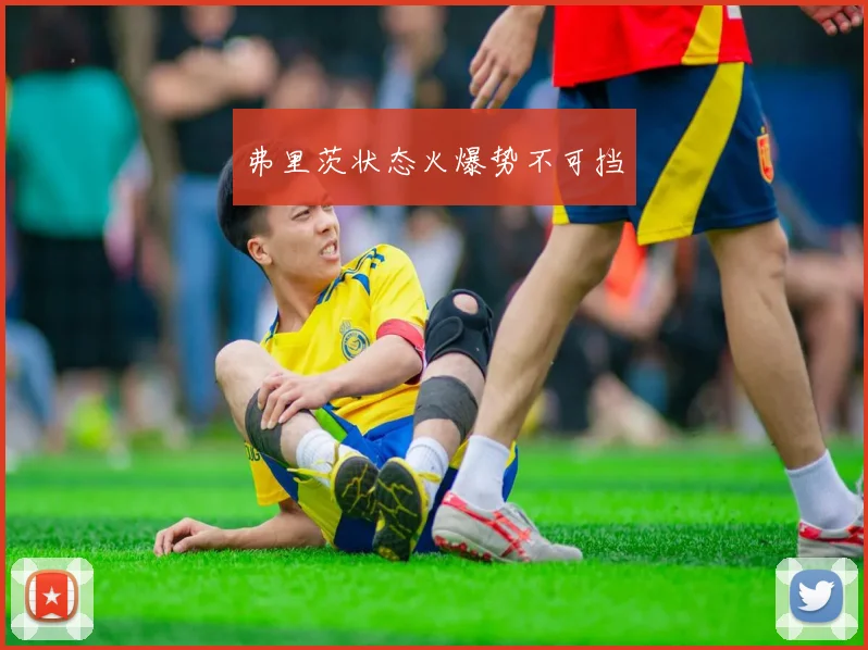 弗里茨状态火爆势不可挡
