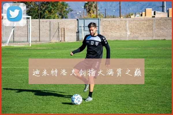 迪米特洛夫剑指大满贯之巅