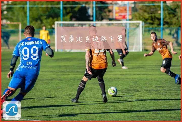 莫桑比克边路飞翼