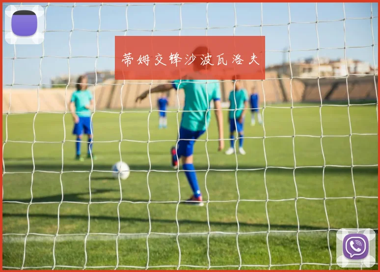 蒂姆交锋沙波瓦洛夫