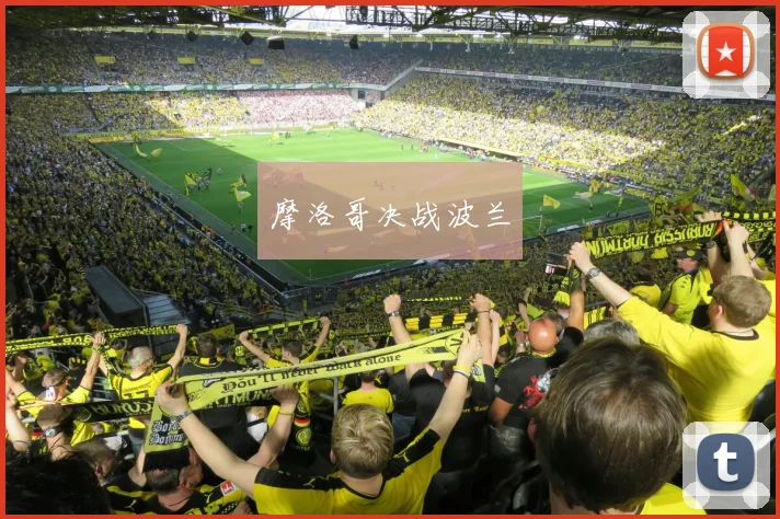 摩洛哥决战波兰