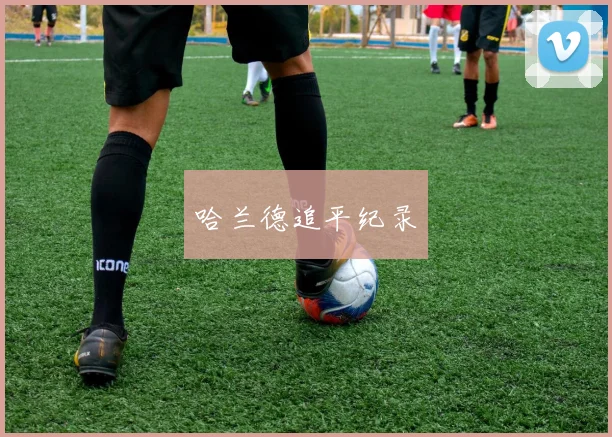 哈兰德追平纪录