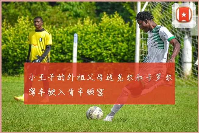 小王子的外祖父母迈克尔和卡罗尔驾车驶入肯辛顿宫