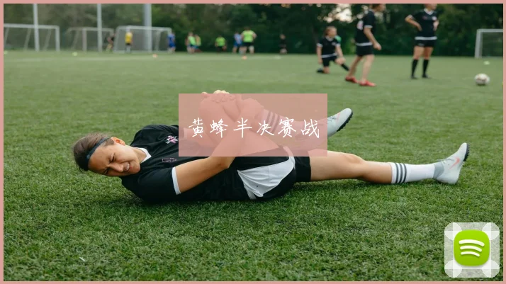 黄蜂半决赛战