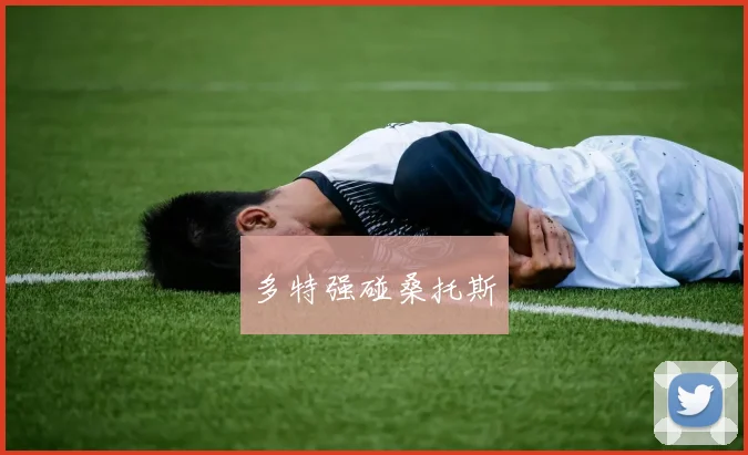多特强碰桑托斯