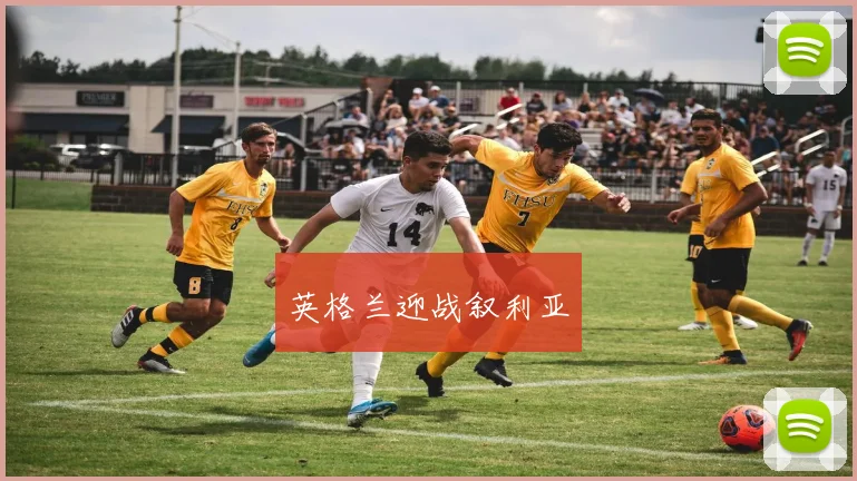 英格兰迎战叙利亚