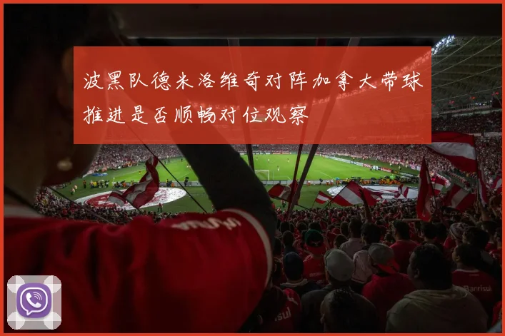 波黑队德米洛维奇对阵加拿大带球推进是否顺畅对位观察