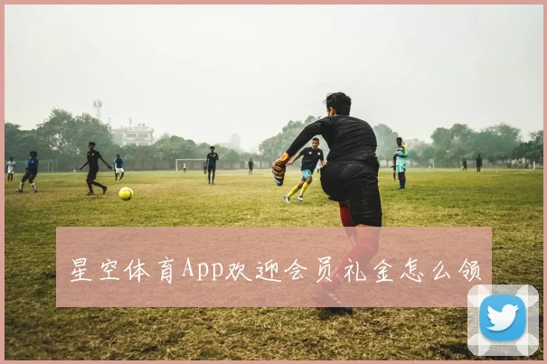 星空体育App欢迎会员礼金怎么领