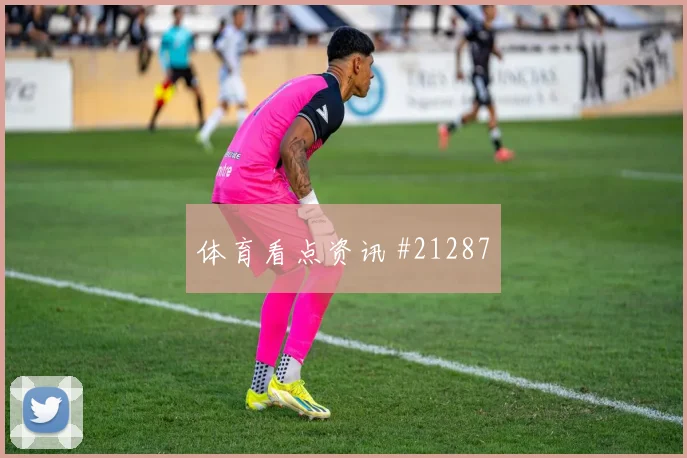 2026世界杯捷克核心球员状态