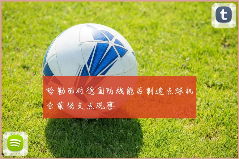 哈勒面对德国防线能否制造点球机会前场支点观察